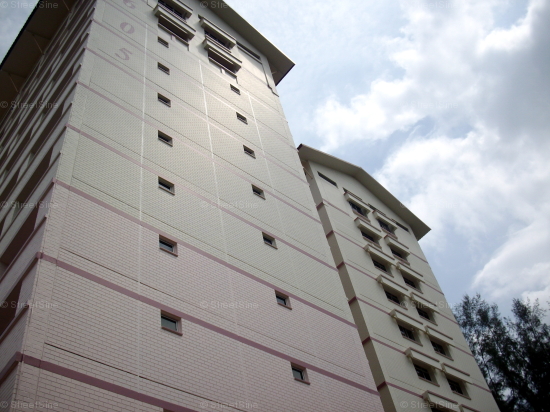 Blk 605 Choa Chu Kang Street 62 (Choa Chu Kang), HDB 5 Rooms #60812